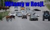 Witamy w Rosji 
