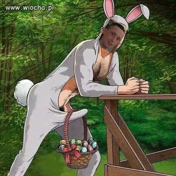 Dobry jest