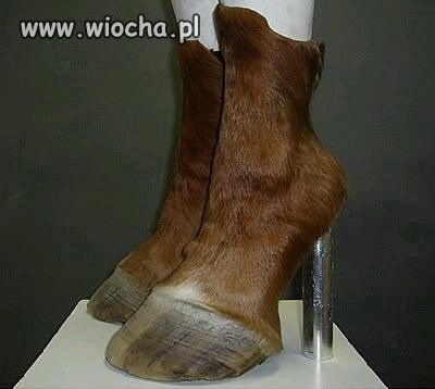 Nowa moda! Wszystkie musimy takie mieć