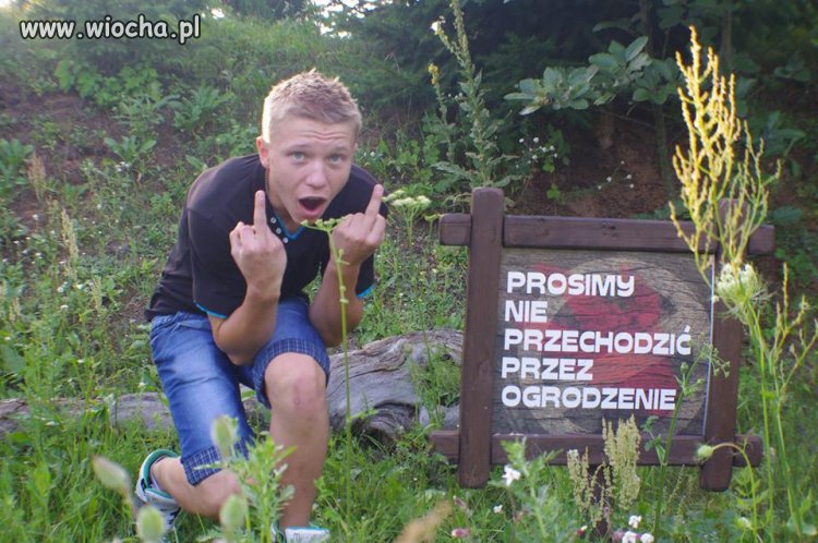 Oczywiście przeszedł...