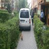 Burak z Poznania- ale jak wjechał?