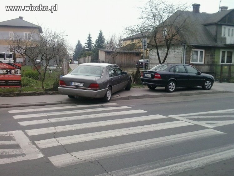 Liban do miasta Białej Podlaskiej się zjechał