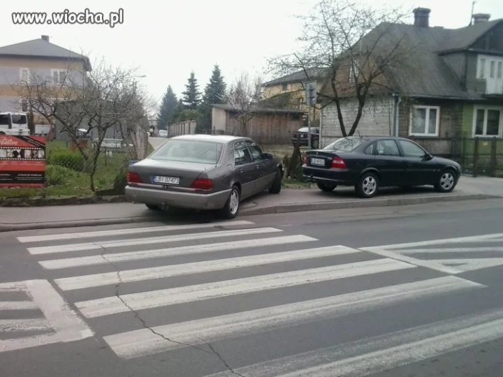 Liban do miasta Białej Podlaskiej się zjechał