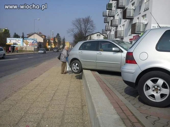 Mistrz parkowania