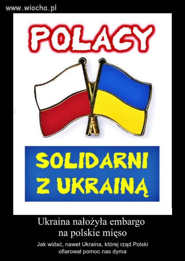 Panie Donaldzie i reszta ścierwa macie swoją pomoc