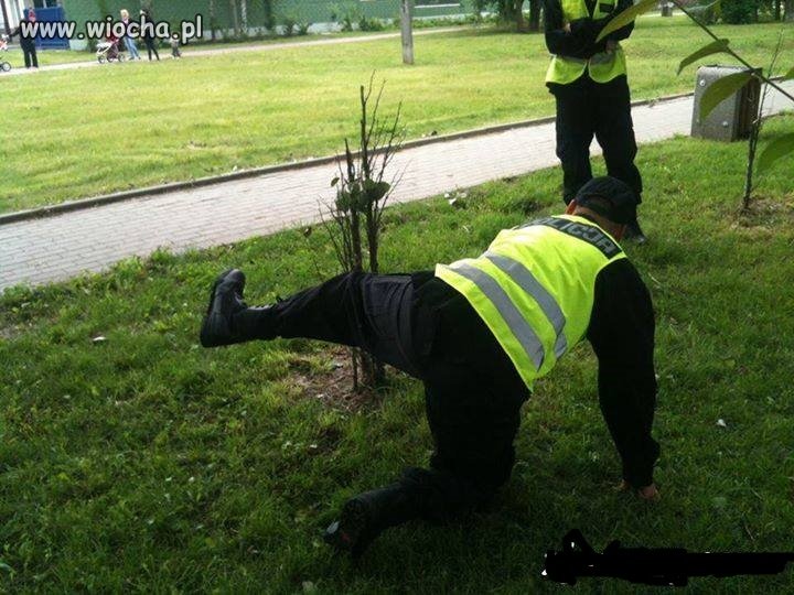 Zawsze sikasz przez zapięty rozporek ??