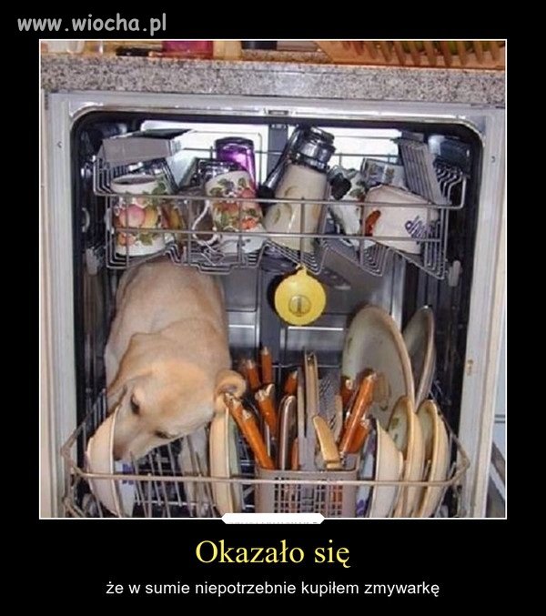 Po co?