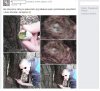 A podczas wiosennego spaceru