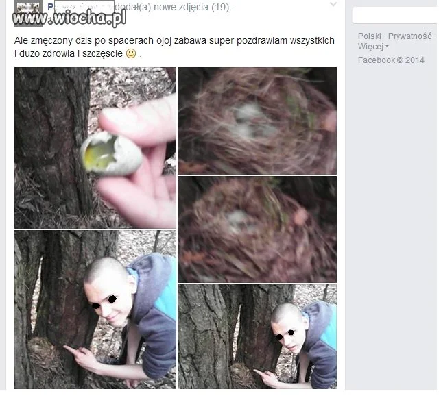 A podczas wiosennego spaceru