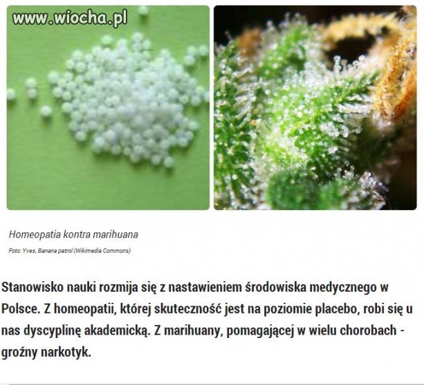 Homeopatia nie leczy, za to marihuana - tak.