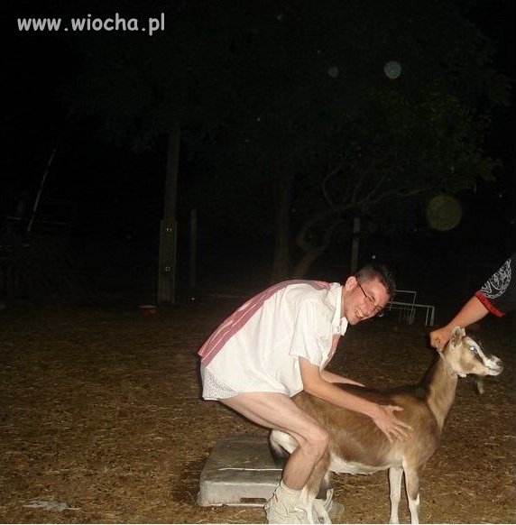 Zabawa z kozą