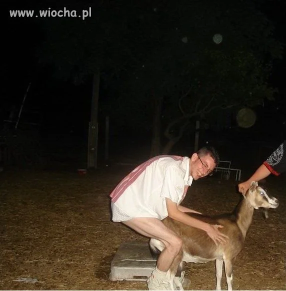 Zabawa z kozą