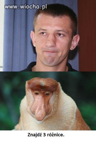 Małpy myślą