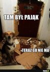 POLOWANIE NA PAJĄKA