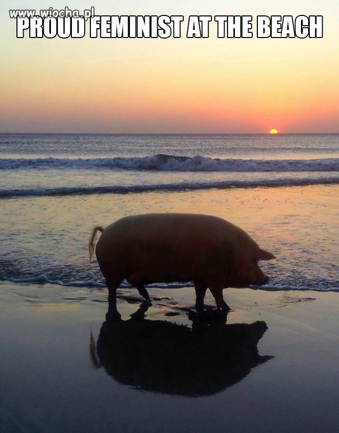 Dumna feministka na plaży