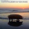 Dumna feministka na plaży