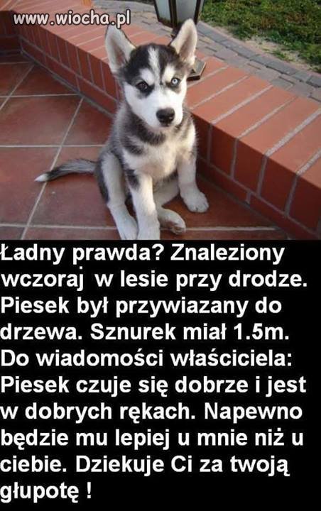 Sam bym powiesił właściciela na takim sznurku.