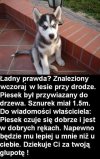 Sam bym powiesił właściciela na takim sznurku.