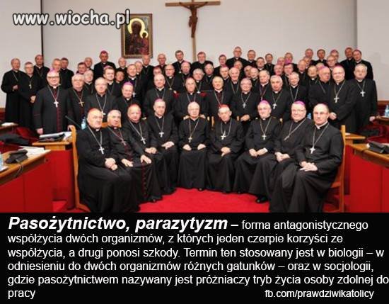 Pasożyty
