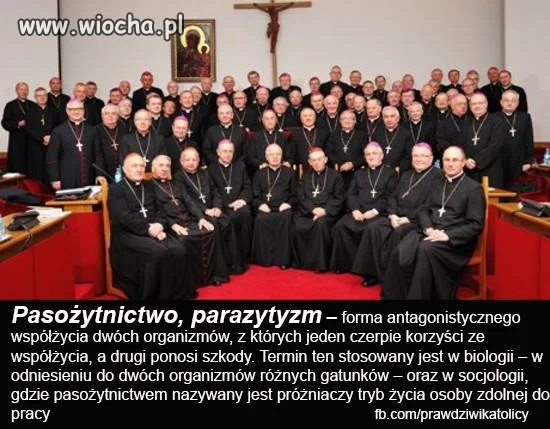 Pasożyty