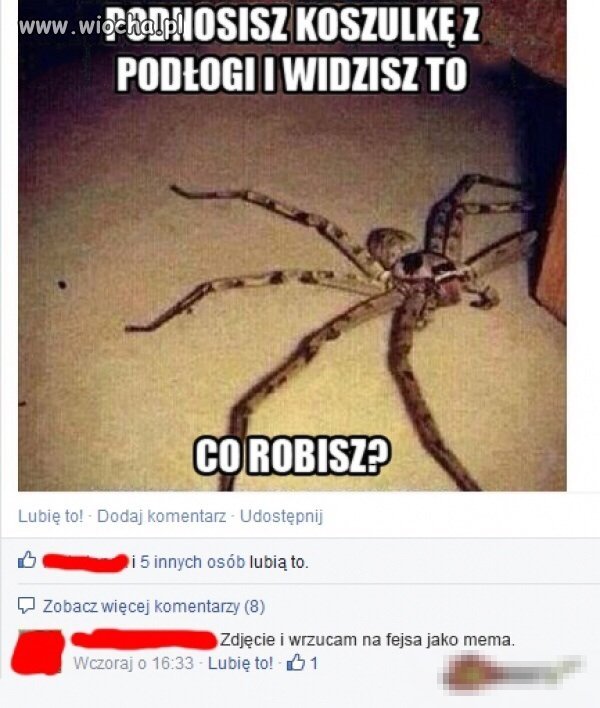 Co robisz?