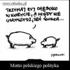 Najlepszy przykład to