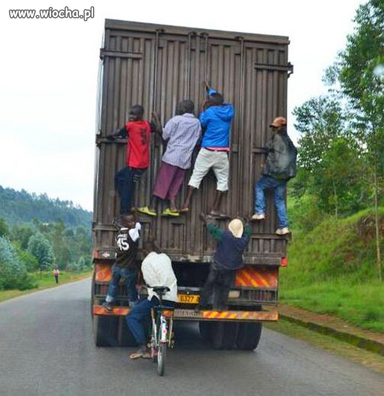 Transport
