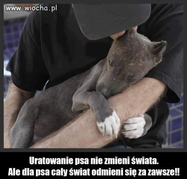 Szczera prawda