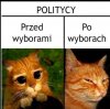 Politycy 