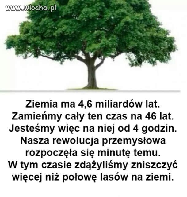Ziemia