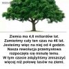 Ziemia