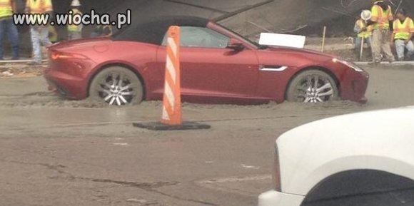 Nowy jaguar w betonie