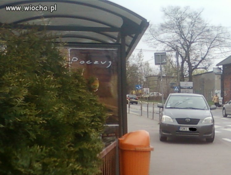 Mistrz Parkowania