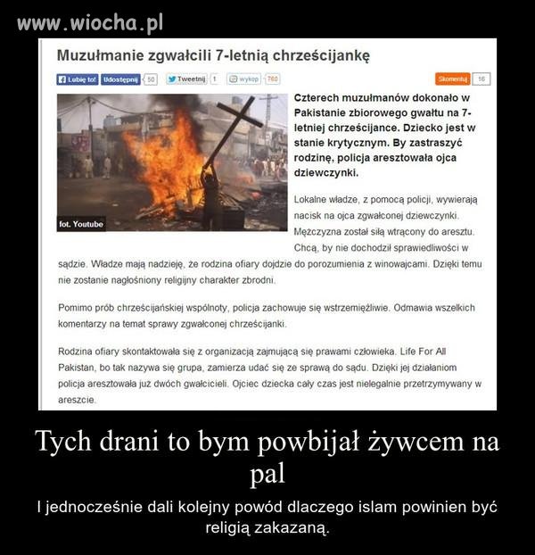 Islam - światowa zaraza 