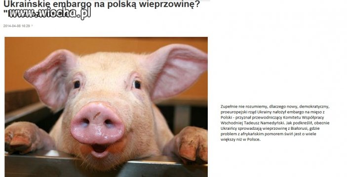 Ukraińskie embargo na polską wieprzowinę?