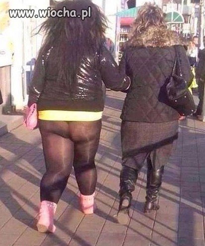 Leginsy?