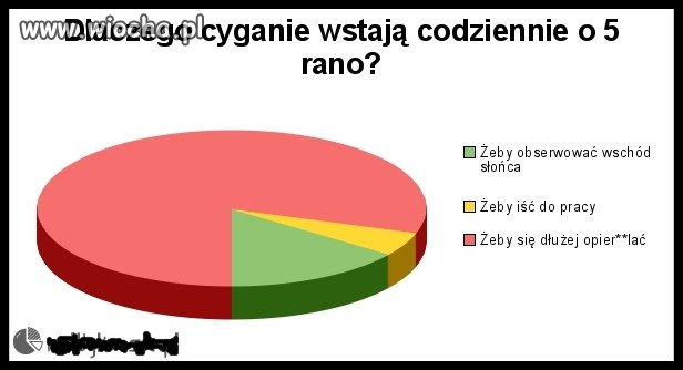 Dlaczego cyganie wstają...