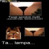 Lampa
