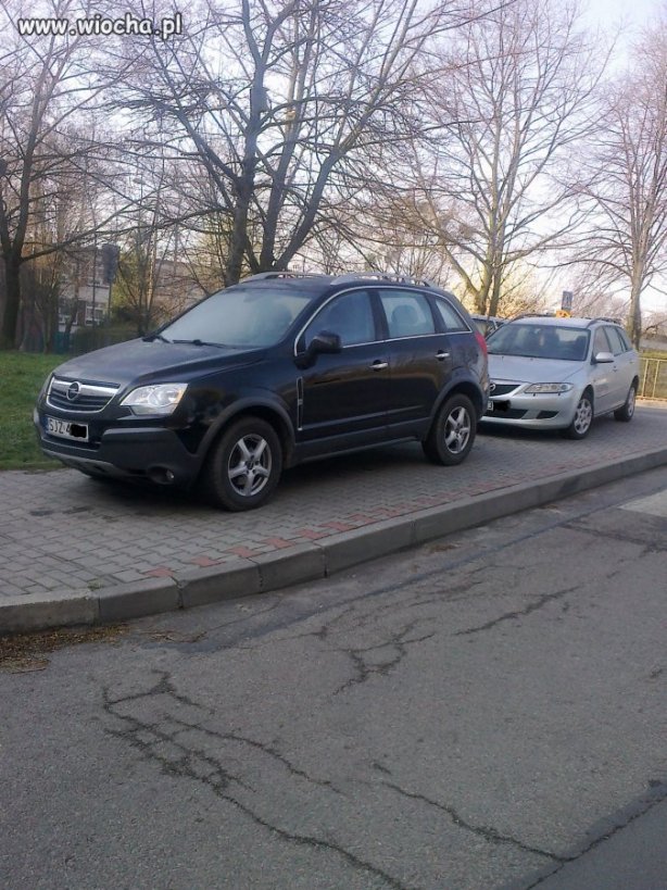 Szczyt umiejętności parkowania 
