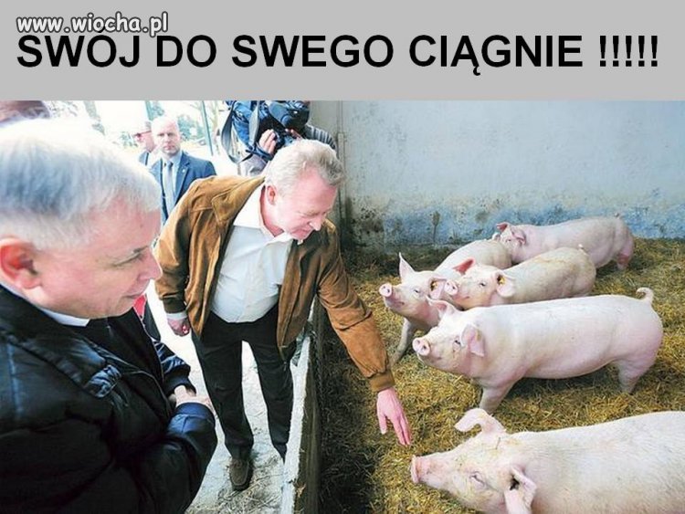 Wybory tuż tuż