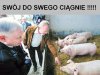 Wybory tuż tuż