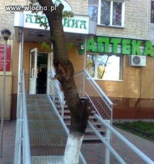 Dla wózków i inwalidów