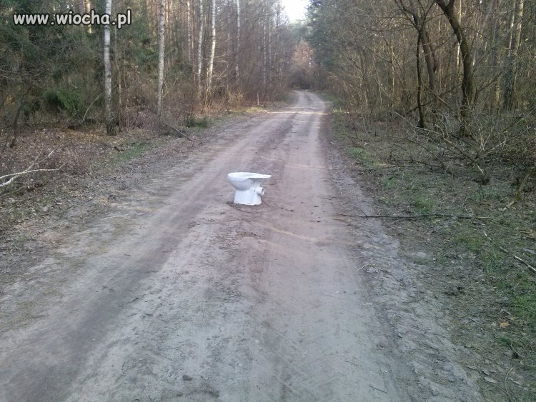 Niedzielna wycieczka na rowery i tor przeszkód 