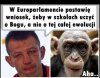 Godny następca Macieja Giertycha.