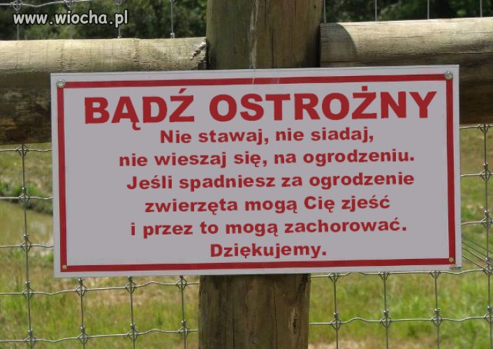 Hmmm... Przekonujące 