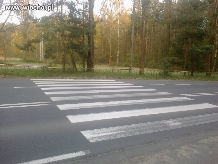 Strzeszynek pod Poznaniem