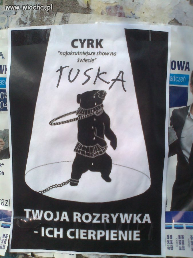 Niezły cyrk