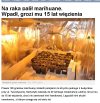 W POlsce nawet mając raka nie można korzystać...