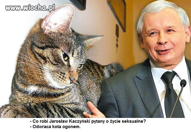 Żyje tylko ten, kto nieustannie cieszy się z życia