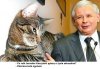 Żyje tylko ten, kto nieustannie cieszy się z życia